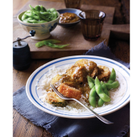 Vegetable katsu curry