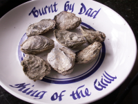How to Grill Oysters Recipe - Food.com