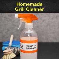 7 Easy DIY Grill Cleaner Recipes