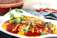 Homemade Ancho Chili Enchilada Sauce | Coupon Clipping Cook®