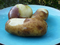Easy Unique Way to Boil and Peel Potatoes Recipe - Food.com