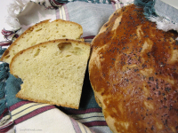 Spanish Peasant Bread Recipe - Food.com