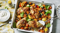 Ras-el-hanout chicken traybake recipe - BBC Food