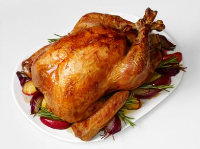 Good Eats Roast Turkey Recipe | Alton Brown | Food Network