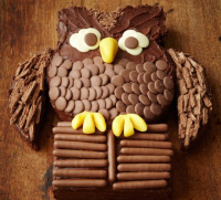Chocolate owl cake recipe | BBC Good Food