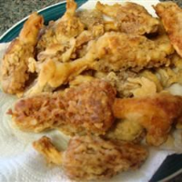 Fried Morel Mushrooms Recipe | Allrecipes