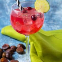 Christmas Gin Cocktail - A Vibrant Gin Cocktail Fit For Any Cocktail ...