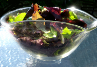 Basic Salad Mix (Salad Spinner) Recipe - Food.com