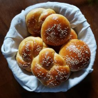 Make Your Own Hamburger Buns – Breadtopia