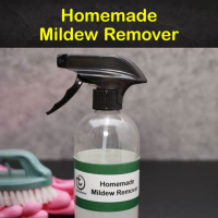 11 Make-Your-Own Mildew Remover Recipes