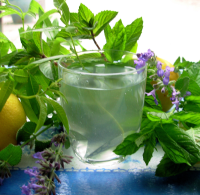 Lemon Verbena and Mint Tea - French Verveine and Mint Tisane ...