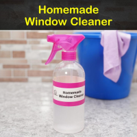 6 Amazing Homemade Window Cleaner Recipes