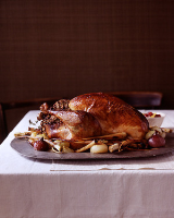 Perfect Roast Turkey with Cheesecloth Recipe | Martha Stewart