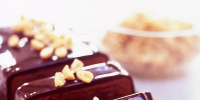 Chocolate-Peanut Butter Terrine with Sugared Peanuts Recipe ...