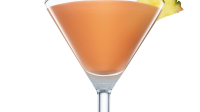 Ladies Cocktail Recipe | Absolut Drinks