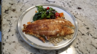 Southwestern Grilled Catfish Recipe - Food.com