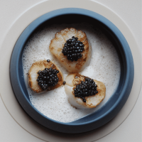 Scallops with Caviar and Pancetta Cream – Casserole & Chocolat