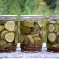 Dill Pickle Recipe for Canning