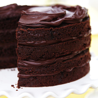 Le meilleur-meilleur gâteau au chocolat | RICARDO