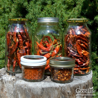 3 Ways to Dry Peppers for Food Storage