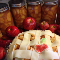 Canned Apple Pie Filling Recipe | Small Recipe