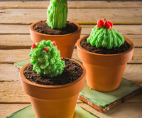 Cup-cakes de cactus - Cookidoo® – la plateforme de recettes ...