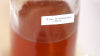 How To Make Vin d'Orange | Kitchn