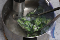 The Best Sous Vide Broccoli Recipe - TheFoodXP