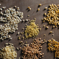 Basic cooking Method for Millet | RICARDO