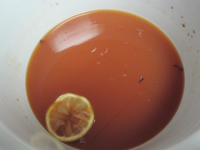 Cider and Tequila Hot Toddy Recipe - Food.com