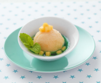 Parfait melon-menthe - Cookidoo® – the official Thermomix® recipe ...