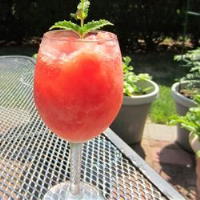 Watermelon Vodka Slush | Allrecipes