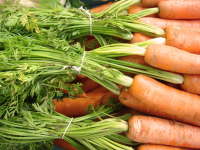 Quelles recettes avec les fanes de carottes ? Comment les cuisiner ?