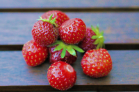 La saison des fraises des bois est courte, profitez de nos recettes ...