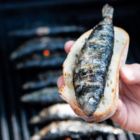 Grilled Portuguese sardines | Photos & Food