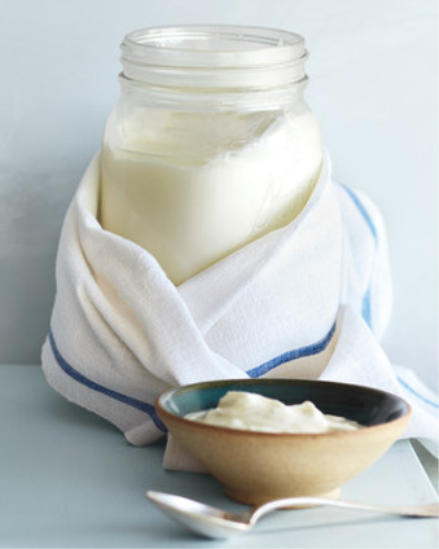 Homemade Yogurt Recipe | Martha Stewart