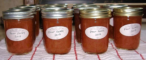 Granny's Pear Honey - MW | Just A Pinch Recipes
