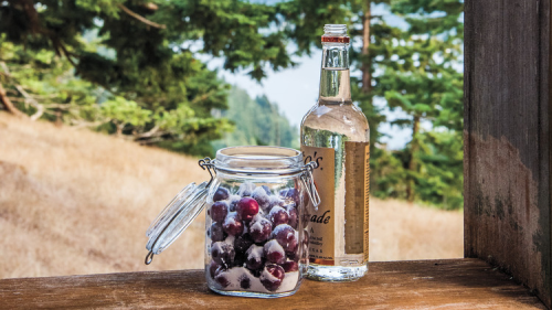 Cherry Plums in Vodka Recipe | Martha Stewart